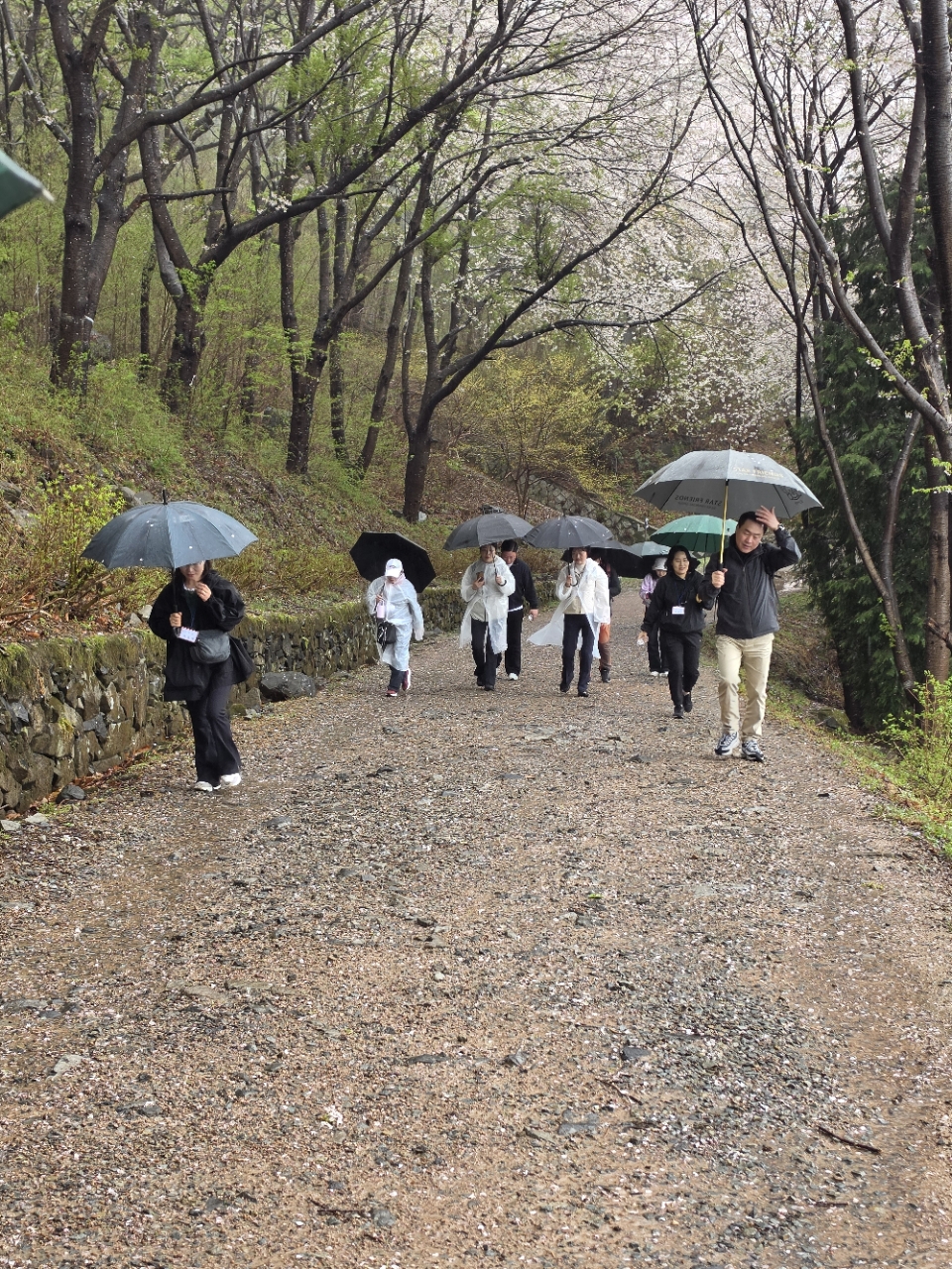 2026-1학기 경영학과 오름동아리 산행_2