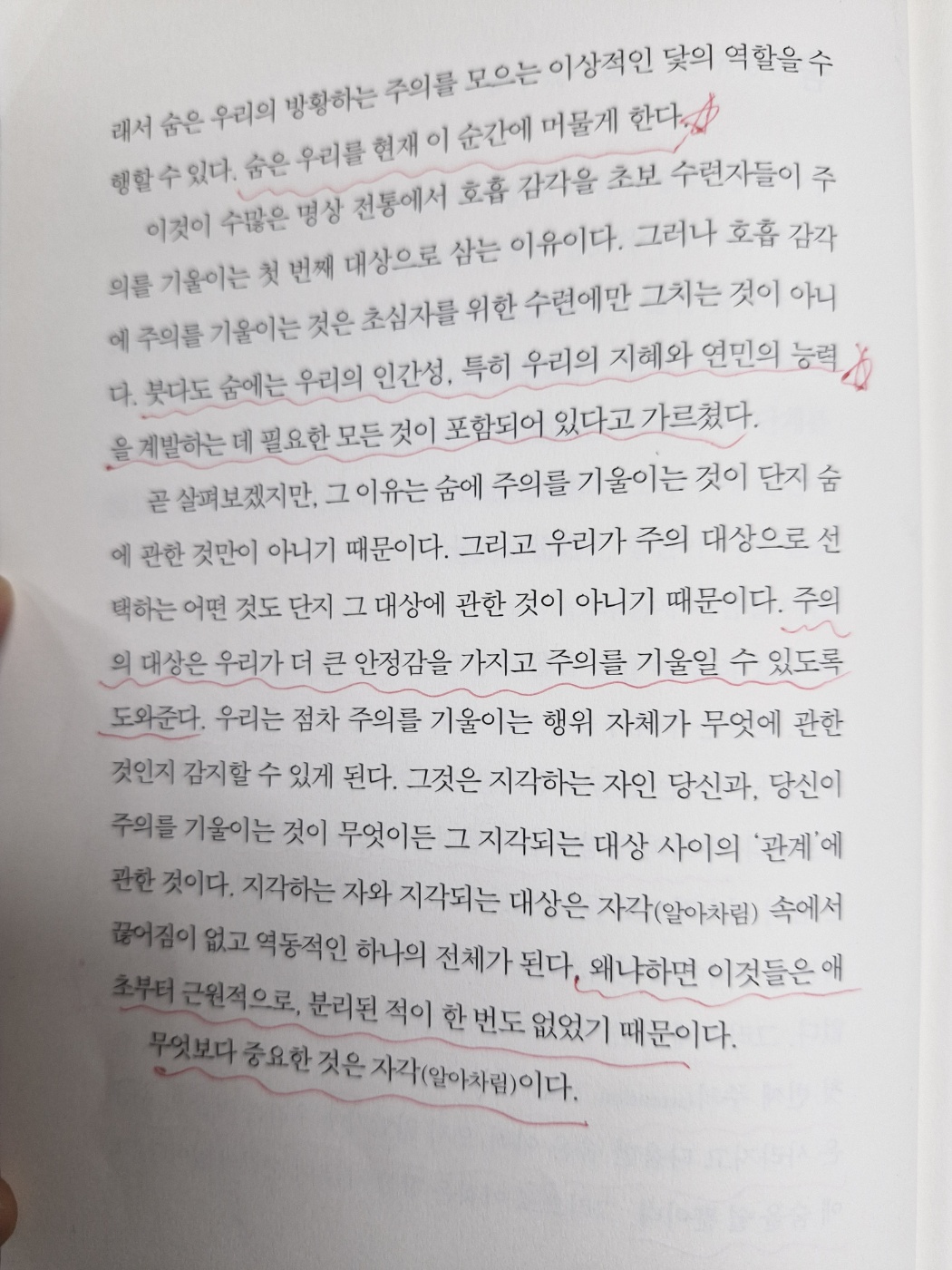 동아리5