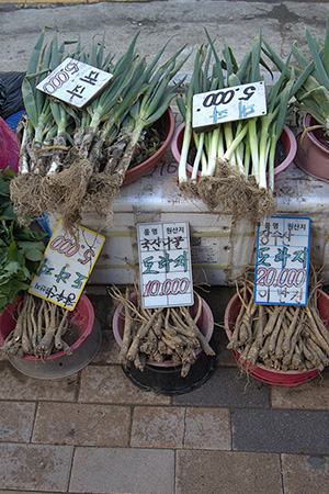 조창래 학생 작품 썸네일