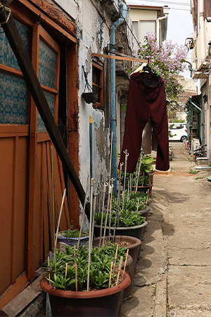 명수정 학생 작품 썸네일