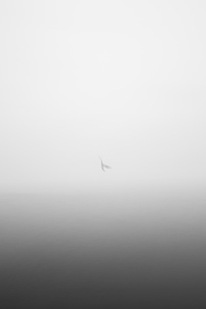 김호종 학생 작품 썸네일